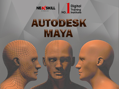 Master in AutoDesk Maya