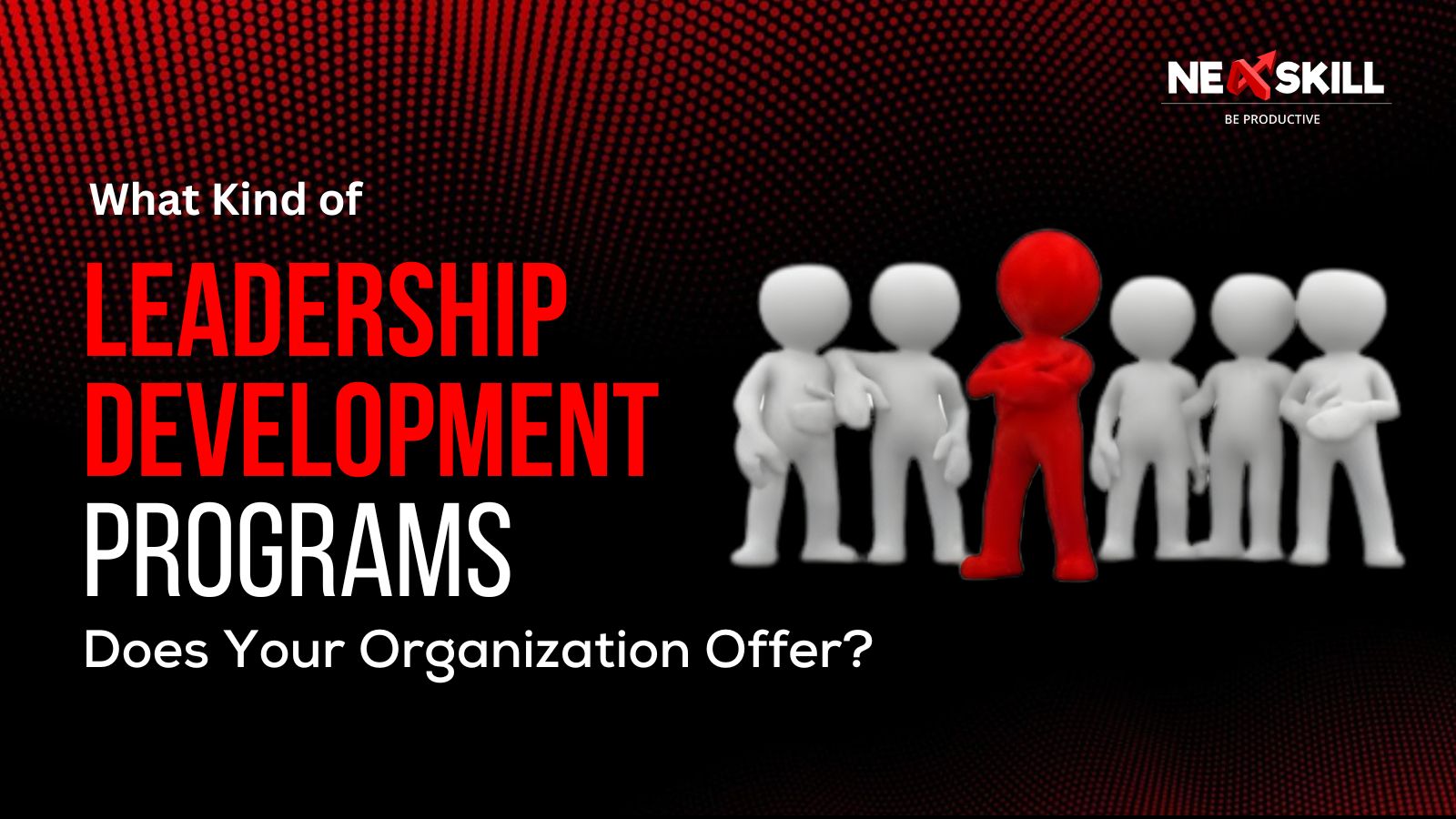 What Kind of Leadership Development Programs does Your Organization Offer?