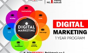 Digital Media Marketing (1 Year)