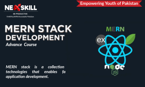 Mern Stack Development